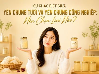Sự Khác Biệt Giữa Yến Chưng Tươi Và Yến Chưng Công Nghiệp: Nên Chọn Loại Nào?